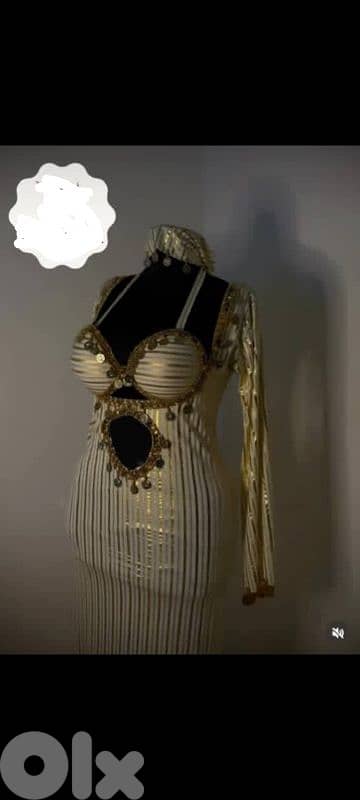belly dance costumes 2