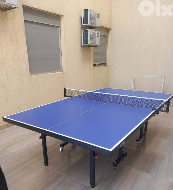 pingpong table 0