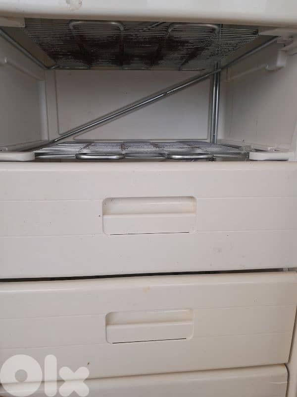 جونيه البوار 5