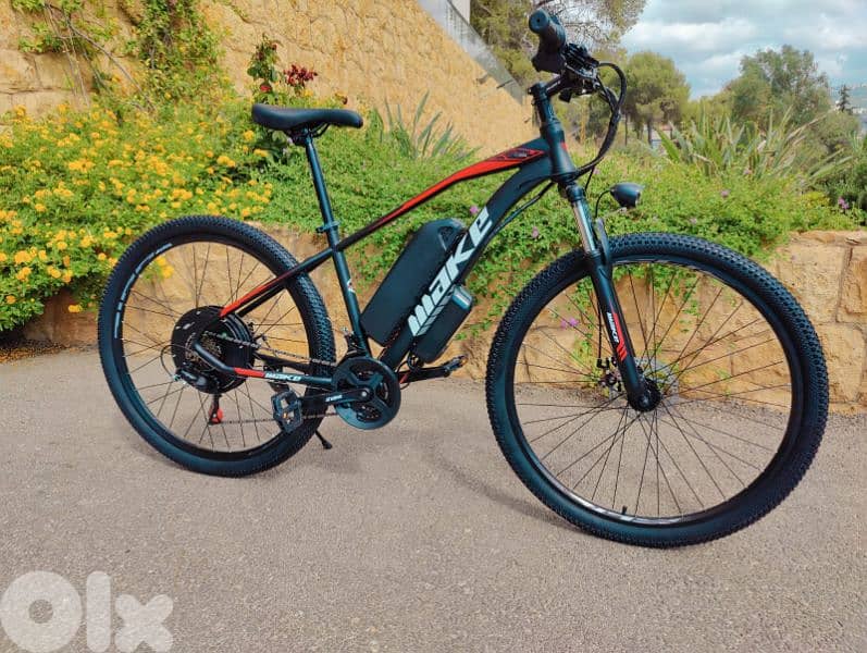 bicycle 2