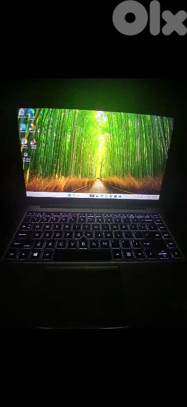 HP EliteBook Slim 1