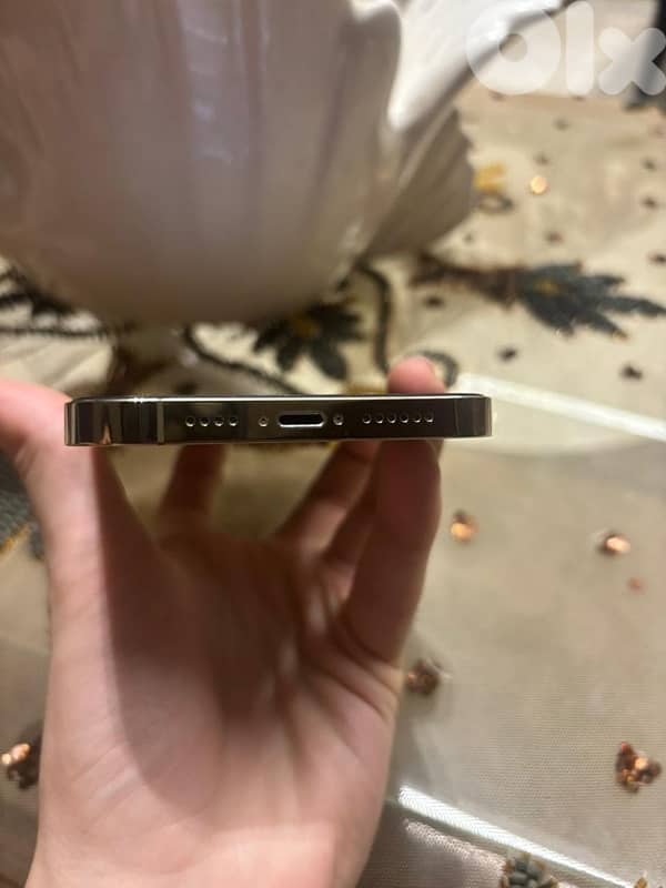 iphone 13 pro max 1