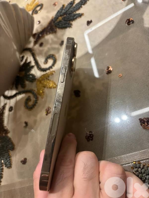 iphone 13 pro max 3