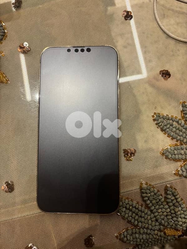 iphone 13 pro max 4