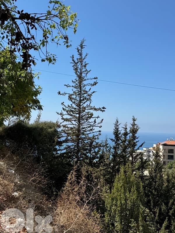 Land For Sale In Mastita-Jbeil أرض للبيع في مستيتا جبيل 0