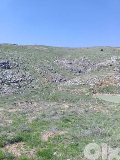 أرض للبيع في عين داره عاليه land for sale in ajn Dara aley