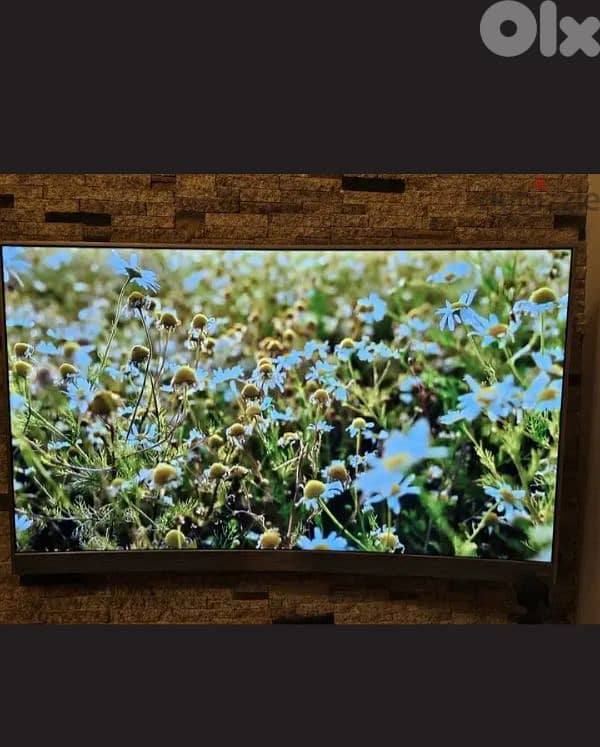 tcl curved 55 inch 0