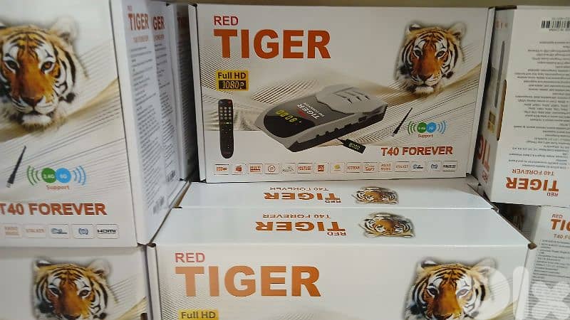 tiger t40 forever 0
