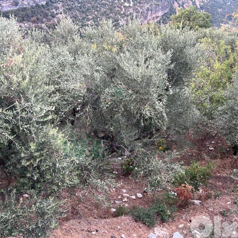 Land for sale in Nammoura, Kesserwan ارض للبيع في منطقة نمورة 2
