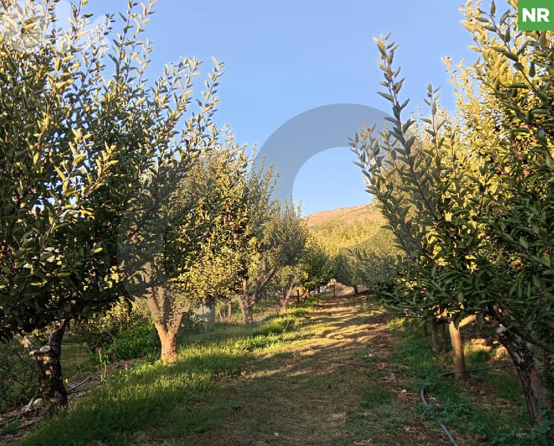 Prime 3,620 sqm Land with Apple Orchard – Kfardebian REF#NR125981 0