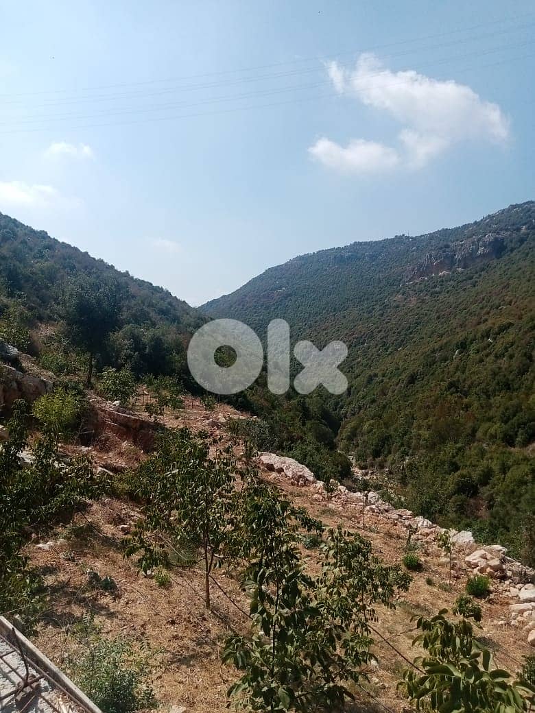 Land for sale in Haqel-Jbeil - أرض للبيع في حاقل - جبيل 0