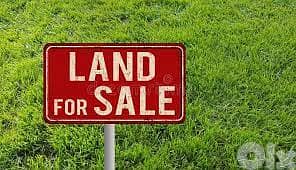 Land for sale in Al Oyoun ارض للبيع في العيون 2