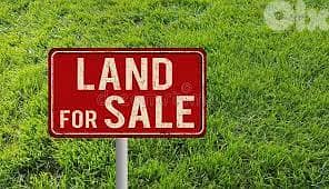 Land for sale in Al Oyoun ارض للبيع في العيون 1