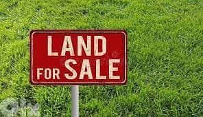 Land for sale in Al Oyoun ارض للبيع في العيون 1
