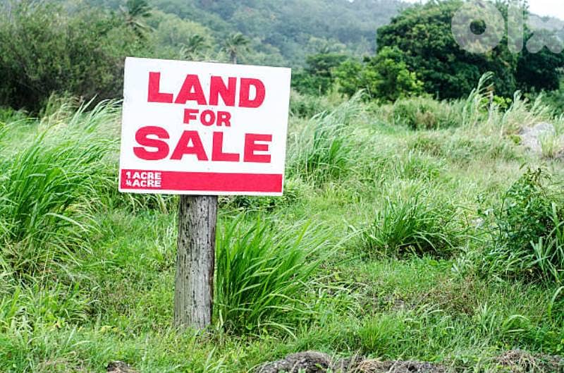 Land for sale in Al Oyoun ارض للبيع في العيون 2