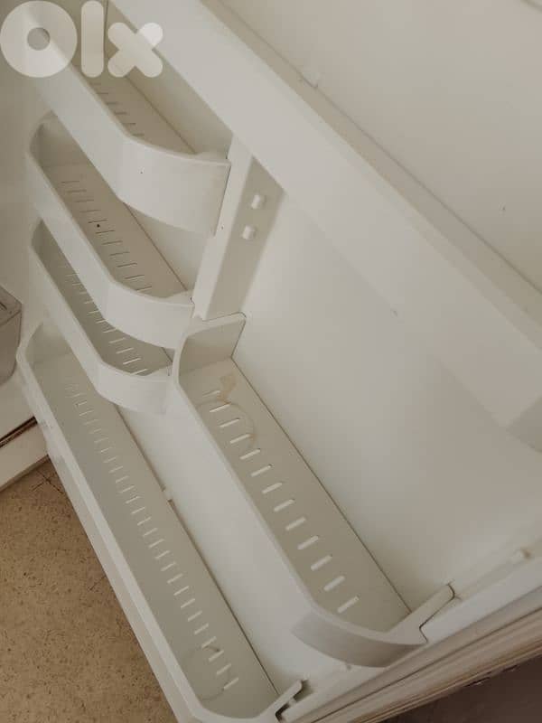 براد فستيل تركي ٢٤ قدم 2