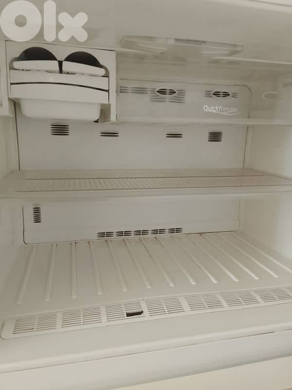 براد فستيل تركي ٢٤ قدم 3