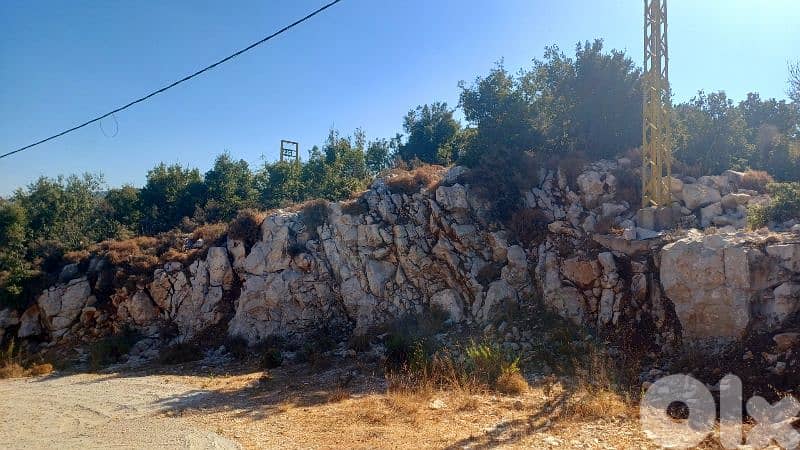 lands for sale in lehfed أرض للبيع بلحفد 0