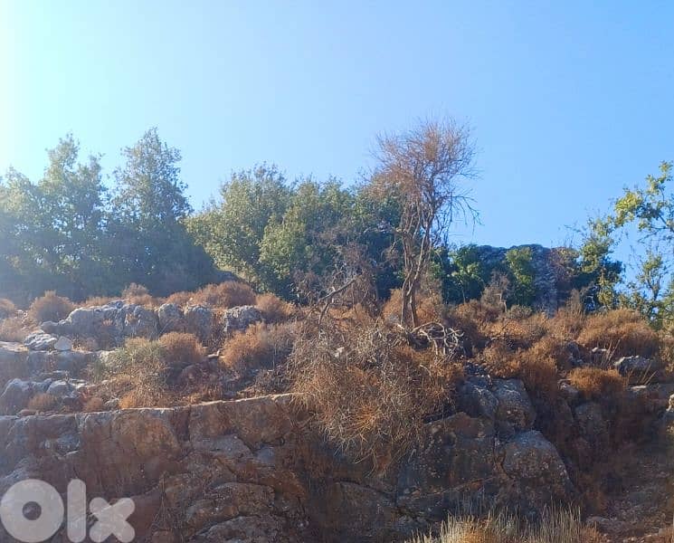 lands for sale in lehfed أرض للبيع بلحفد 2