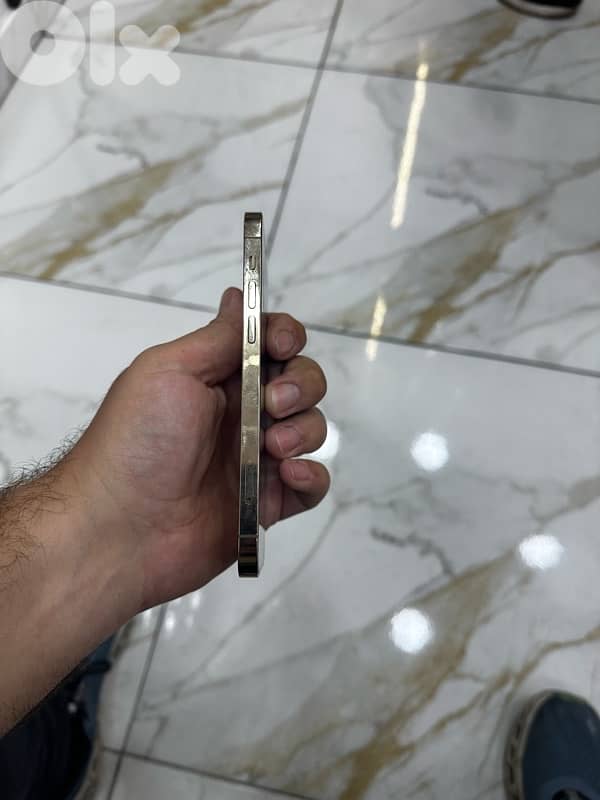 12 pro 256gb 3