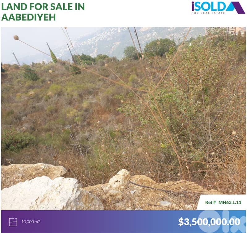 10000m2 Land+open city view 4sale in Aabediyeh/Aley - أرض في العبادية 0