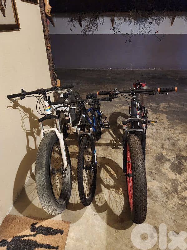Three bicycles in good condition 1