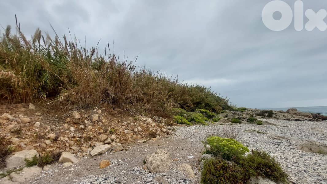 Land for sale in Nahr Ibrahim - أرض للبيع في نهر إبراهيم 0