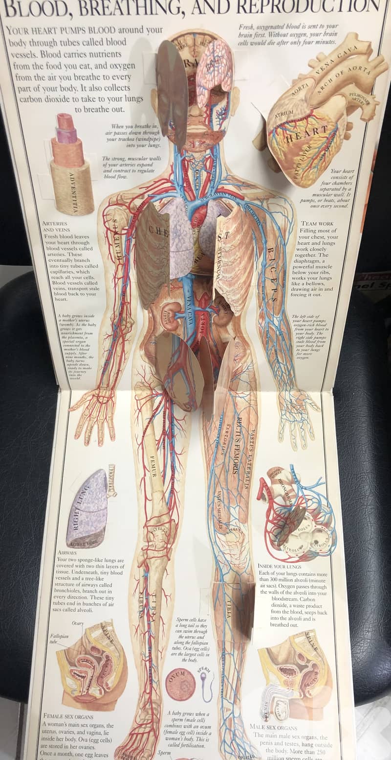 inside the body with hard cover 7