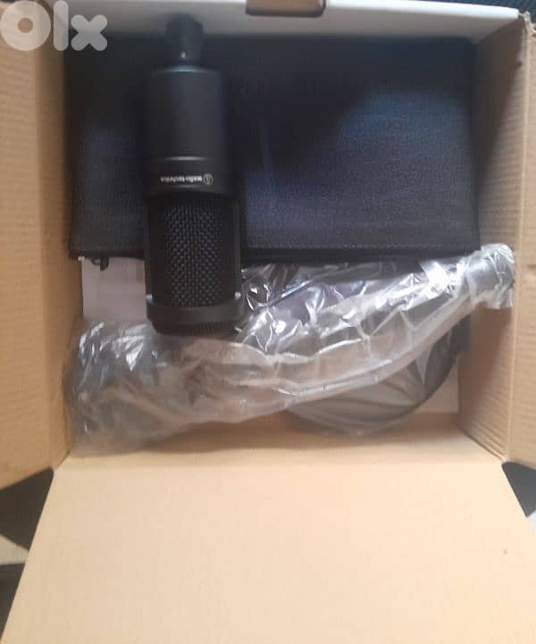 Audio-Technica AT2020 2