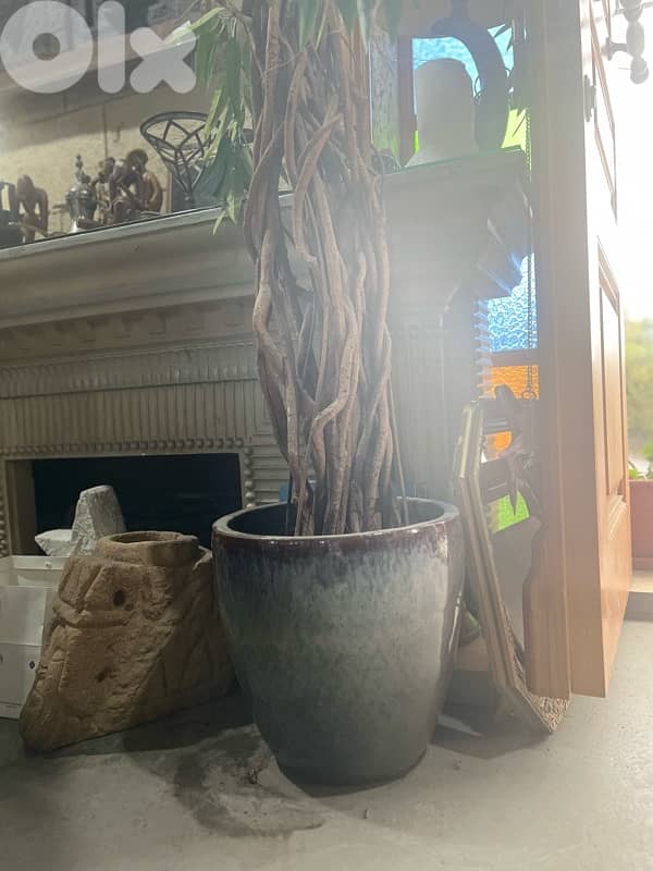artificial tree 2