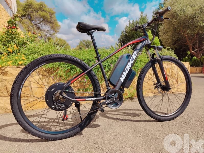 electric bicycle 0