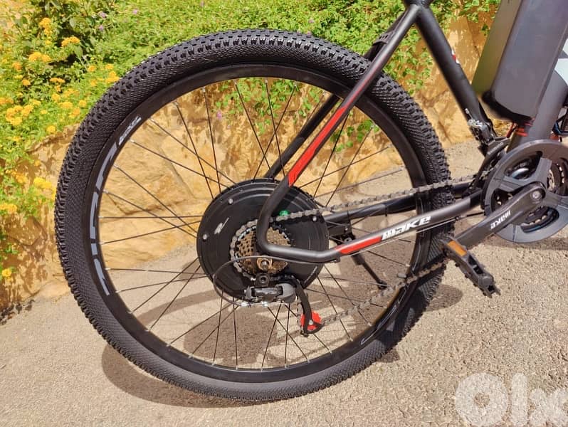 electric bicycle 1