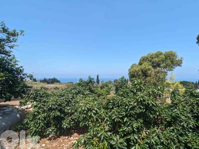 Land For Sale In Amchit | Near Highway | أرض للبيع | PLS 26051