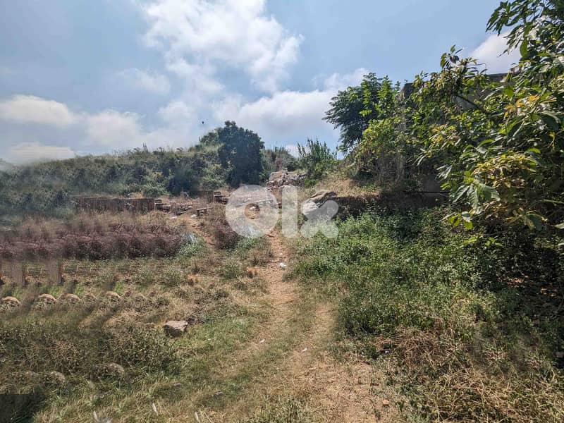 Land For Sale In Amchit | Near Highway | أرض للبيع | PLS 26051 2