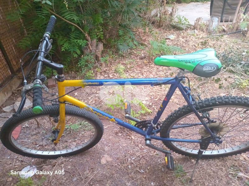 bicycle 1