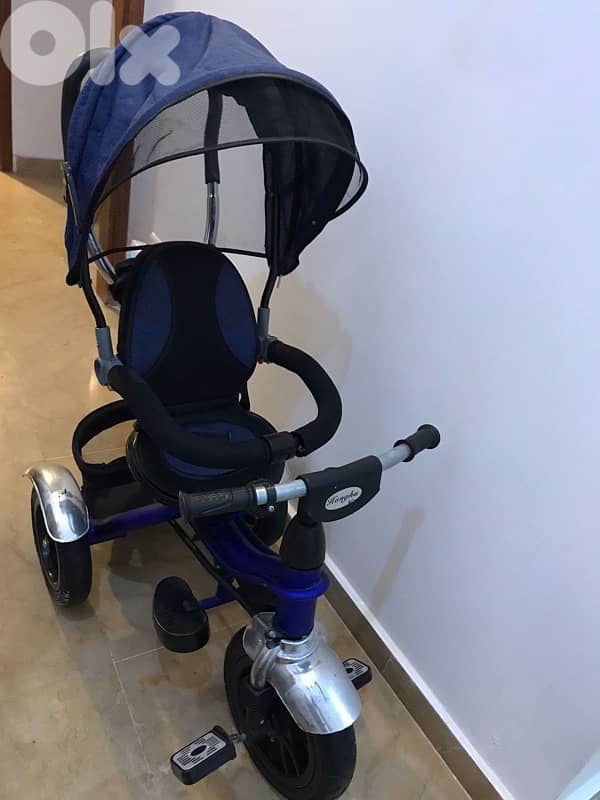 children tricycle 2