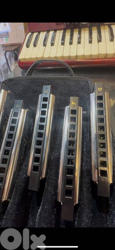Fender Harmonicas deluxe set 1