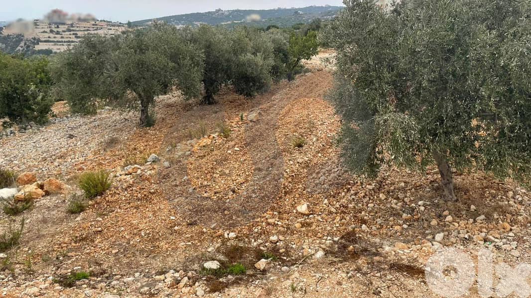 Open View land for Sale in Batroun, Eddeh/البترون، إده REF#IN126131 1