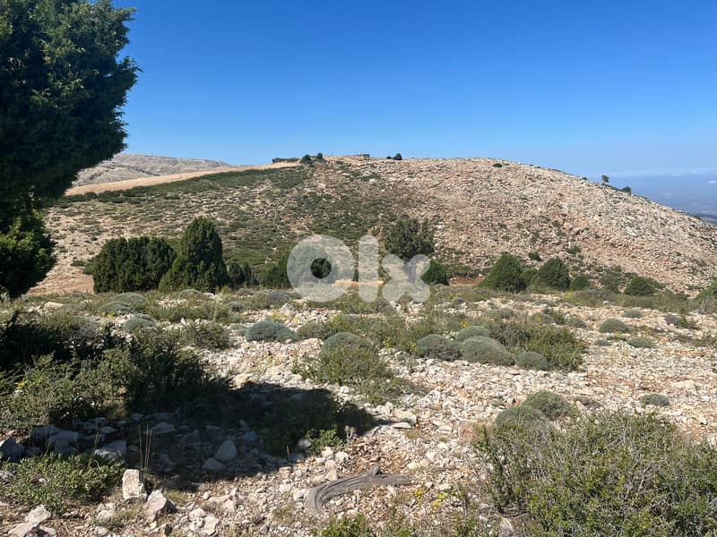RWB129RR - Land for sale in Tripoli - Denniyeh 1