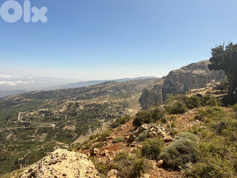 RWB129RR - Land for sale in Tripoli - Denniyeh 5