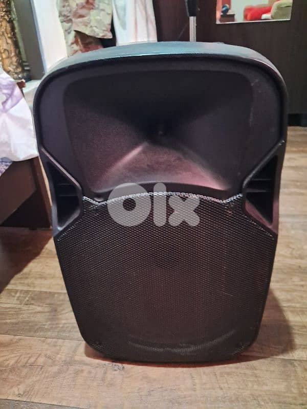 speaker 0