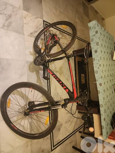2019 Giant talon