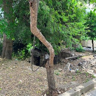 Ghazir | 226 sqm Land + Building Permit 324.6 sqm (Old House On Site) 1