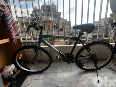 Viva Alpina Mountain Bike