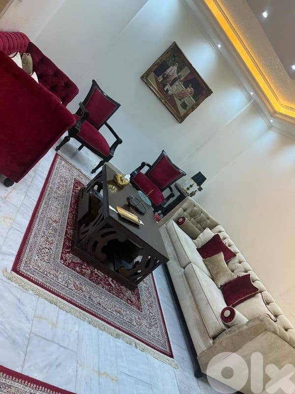 صالون مع سجاد وطاولة و تلفزيون 2