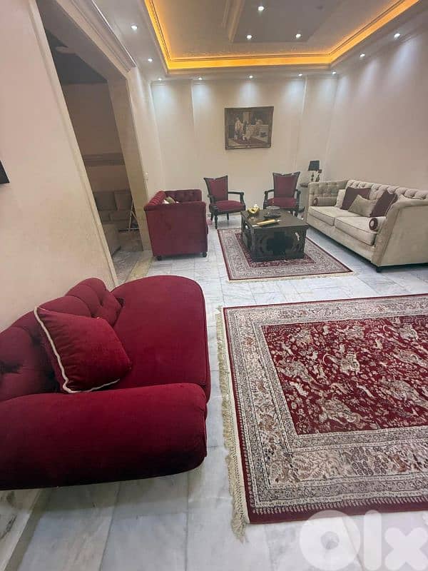 صالون مع سجاد وطاولة و تلفزيون 6