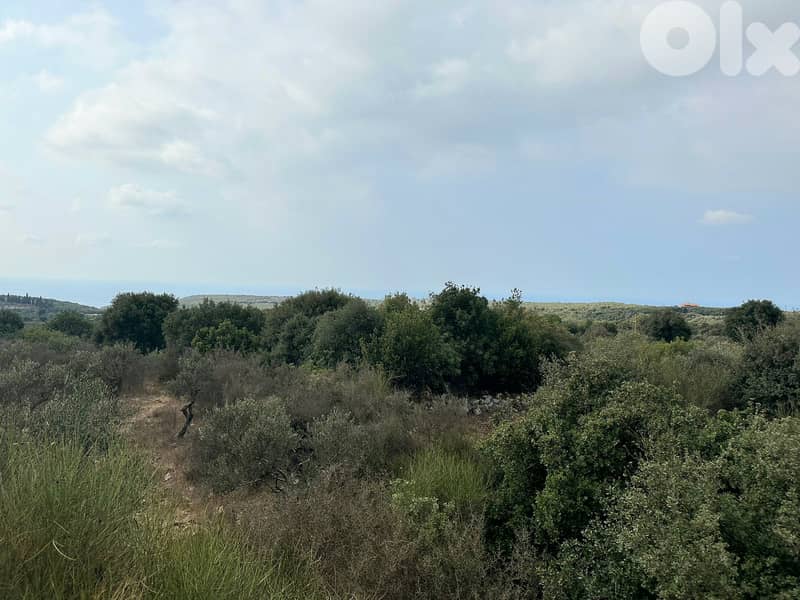 Land for sale in Hamat/ Amazing view 0