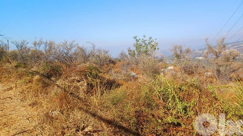 lands for sale in  Assia أرض للبيع في آسيا _البترون 4