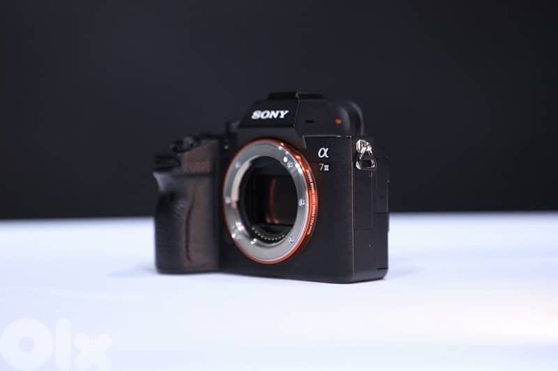 sony A7iii 11