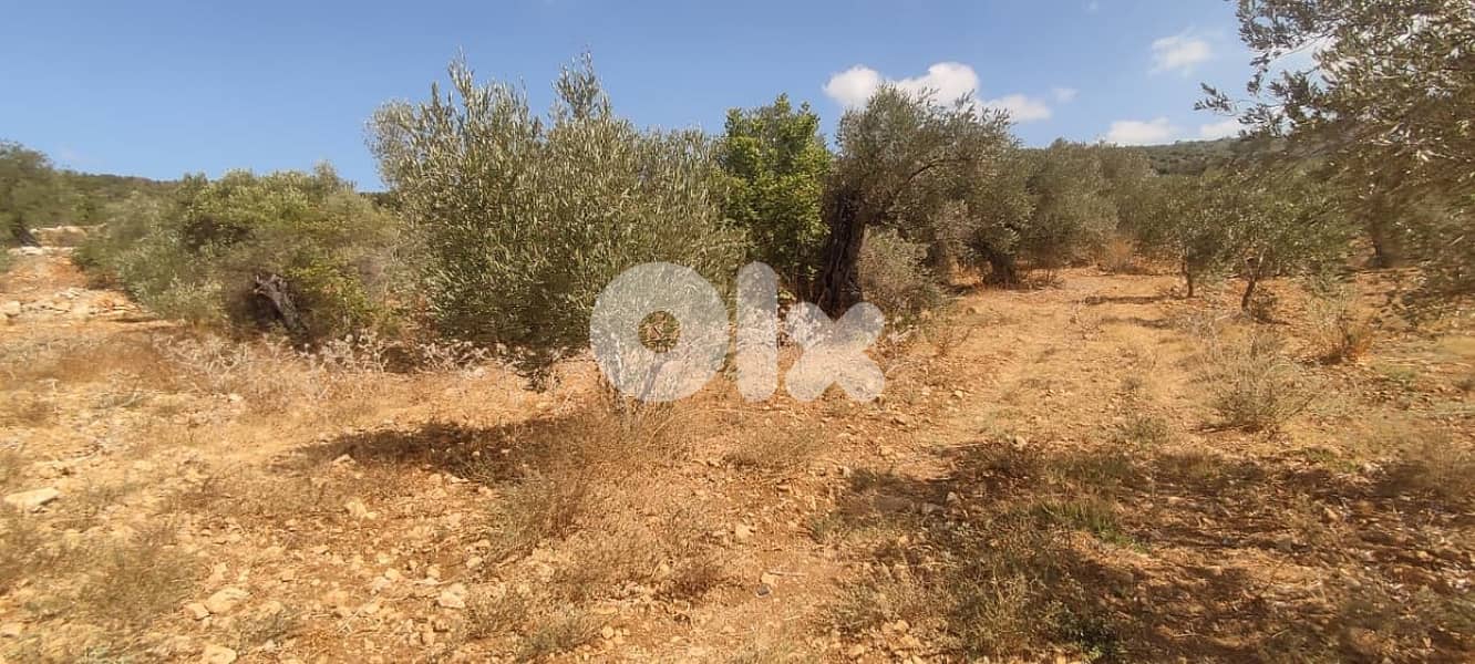 4500 Sqm Land For Sale In Hasbaya ارض للبيع في حاصبيا 0